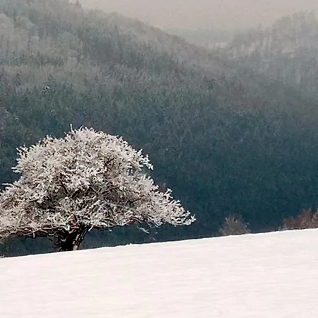 Uebermtal Appartement