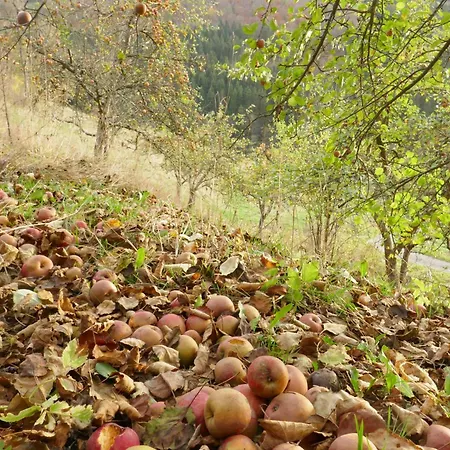 Lejlighed Uebermtal
