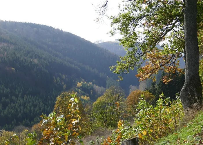 Uebermtal 公寓 施马伦贝格