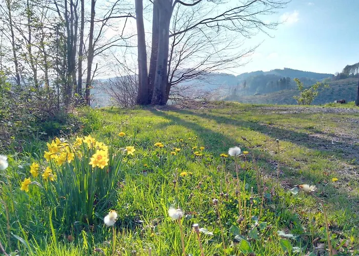公寓 Uebermtal 施马伦贝格